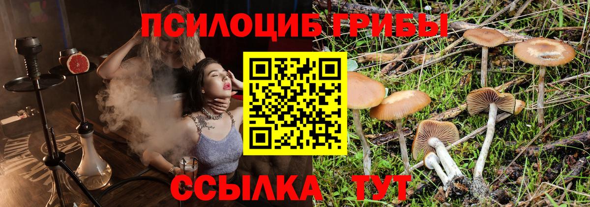 Псилоцибиновые грибы мухоморы  Вход с VPN  Сосновоборск  Галлюциногенные грибы GOLDEN TEACHER 