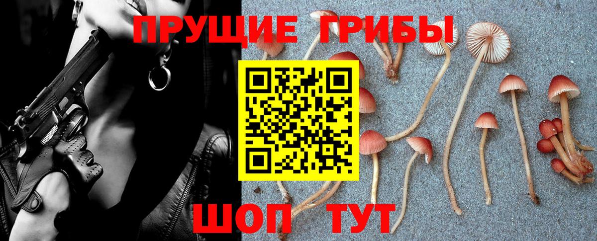 Галлюциногенные грибы GOLDEN TEACHER Сосновоборск