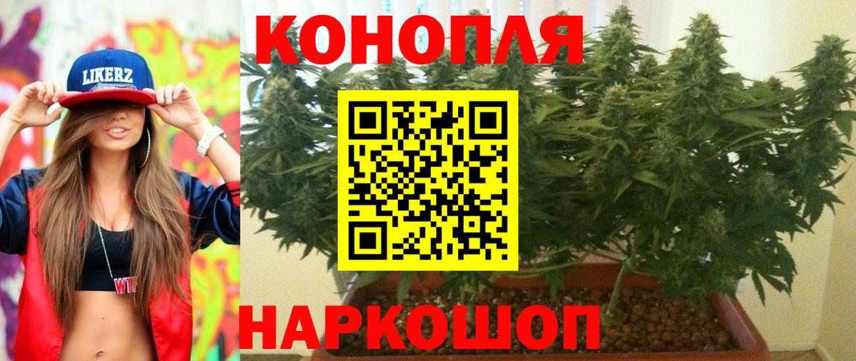 Каннабис планчик  МАРИХУАНА VHQ  Вход с VPN  Бошки Шишки AK-47  Сосновоборск 